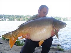 Harsanyi 2013